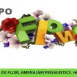 Expo Flowers & Garden