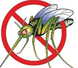 Servicii de dezinsectie in Timisoara