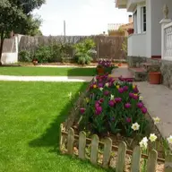 Amenajari spatii verzi