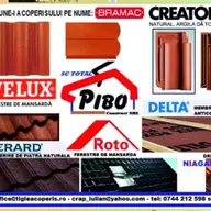 Total Pibo Construct