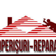 Reparatii acoperisuri