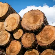 Cherestea din lemn de brad