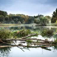 Te intereseaza calitatea apei pe care o bei? E timpul sa ai izvorul tau!