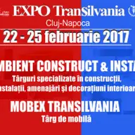 Ambient Construct & Instal
