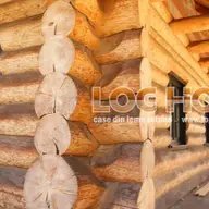 Log Home