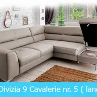 Coltare extensibile moderne in Timisoara