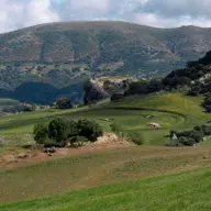 Topocad Plan