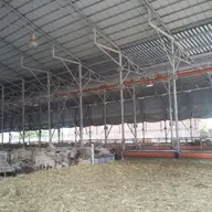 Importanta produselor zincate in agricultura