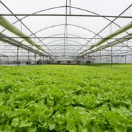 4 modalitati de incalzire a unui solar, fara investitii serioase