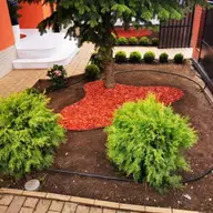 My Garden