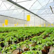 Urmeaza sa construiesti un solar? Iata sfaturile de carfe trebuie sa tii cont