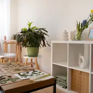 Sfaturi de design pentru a maximiza spațiul în apartamentele mici