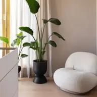 Avantajele vopselei decorative Marmorino în amenajările interioare moderne