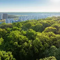 Cum să alegi cele mai potrivite apartamente de vânzare în București?