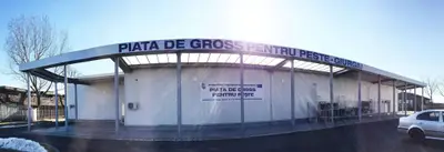 Inchiriere spatii comerciale in Giurgiu