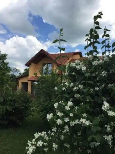 Proprietar vand casa in Ortisoara din judetul Timis
