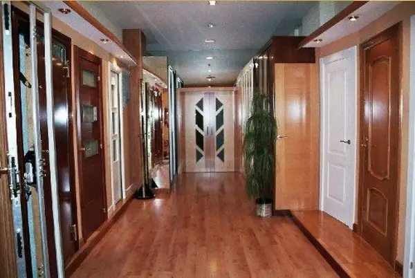 Usi interior