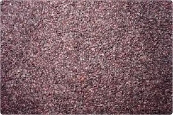 Vand seminte aronia
