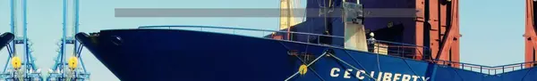 Lion Shipping and Chartering
