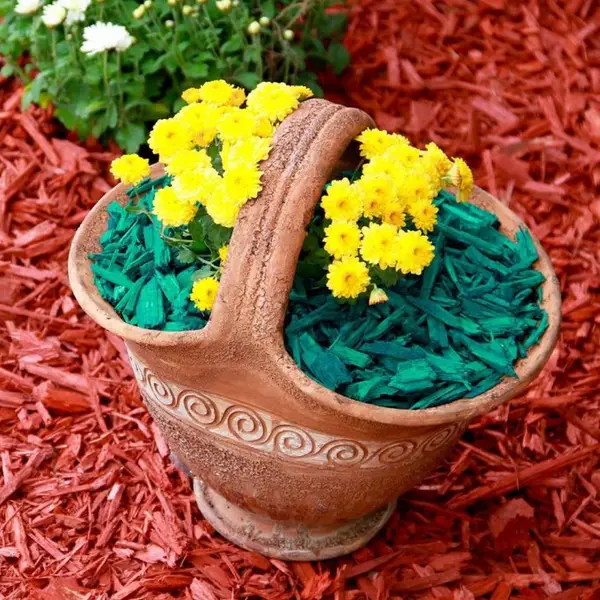 Mulci decorativ