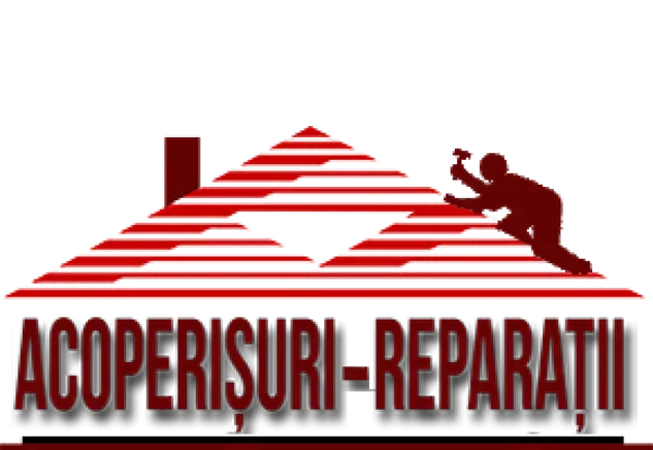 Reparatii acoperisuri