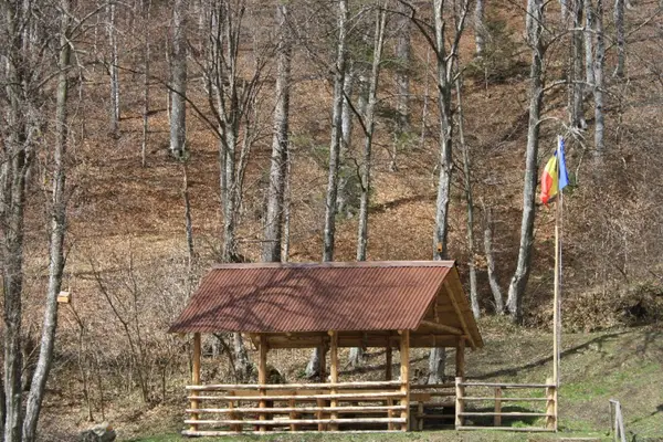 Idei inedite de foisoare pentru grădina