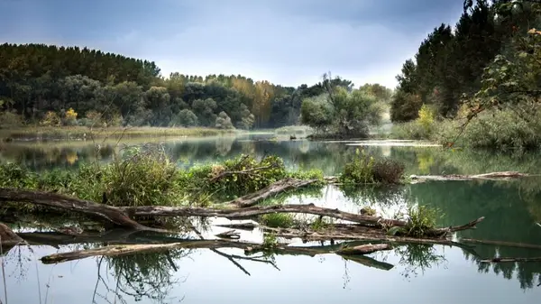 Te intereseaza calitatea apei pe care o bei? E timpul sa ai izvorul tau!