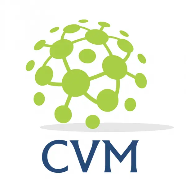CVM Engineering & Consulting
