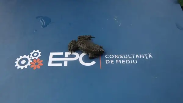 EPC