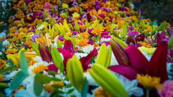 FlorAr