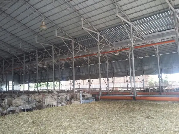 Importanta produselor zincate in agricultura