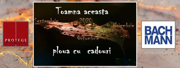 Oferte de toamna la gama de Prize Bachmann