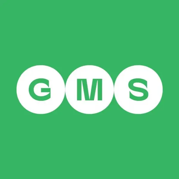 GMC Expert Group