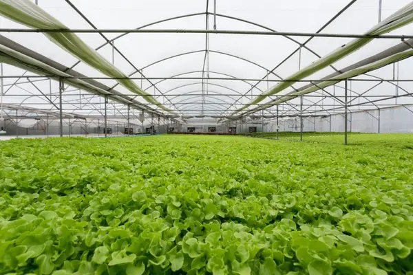 4 modalitati de incalzire a unui solar, fara investitii serioase