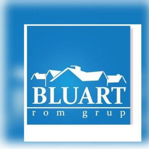 Bluart Rom Grup