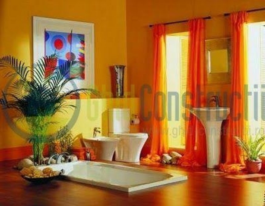 Baie colorata