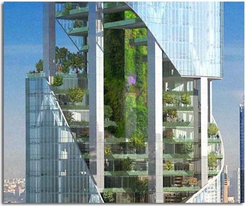 Bloc cu plante