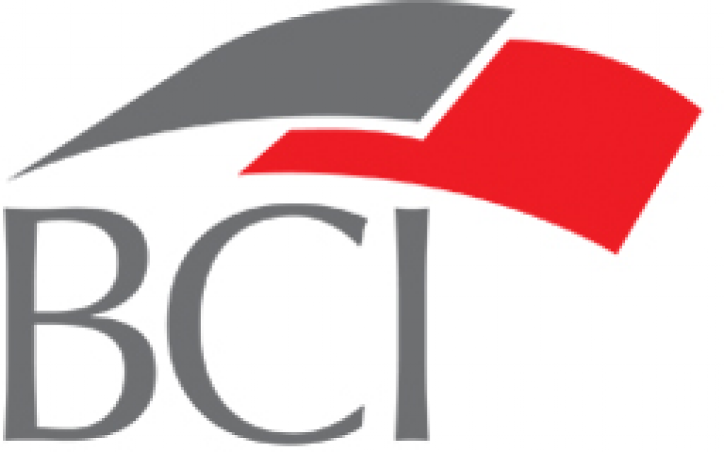 Business Concept International