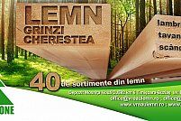 Forest One