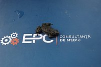 EPC Consultanta de Mediu