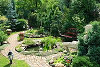 Pavelele - o alegere elegantă pentru grădina ta