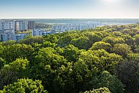 Cum să alegi cele mai potrivite apartamente de vânzare în București?